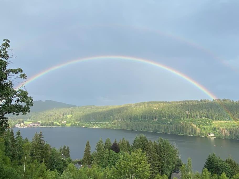 Ferienwohnung Lotti + Hochschwarzwald Card Titisee-Neustadt Exteriér fotografie