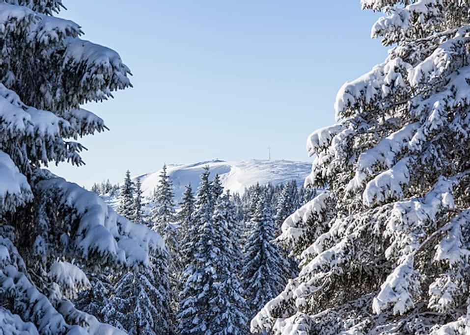 Ferienwohnung Lotti + Hochschwarzwald Card Titisee-Neustadt Exteriér fotografie